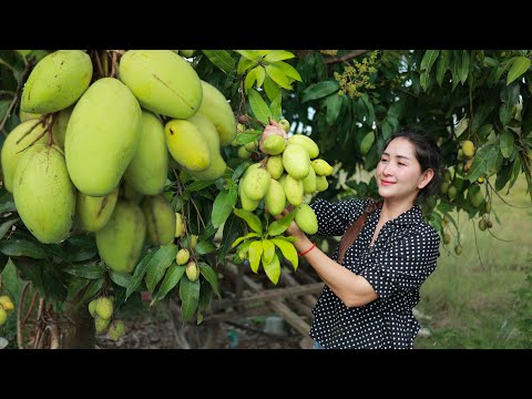 Video: Mango: Hur Man äter Sina Frukter