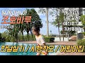 조호바루 한달살기 할것 장단점 어린이집 유치원 숙소 렌트카 에어비앤비 이스칸다르 엘리시아 키디코브 마나카페 예산 조호바루 한달살기 할것 장단점 어린이집 유치원 숙소 렌트카 에어비앤비 이스칸다르 엘리시아 키디코브 마나카페 예산
