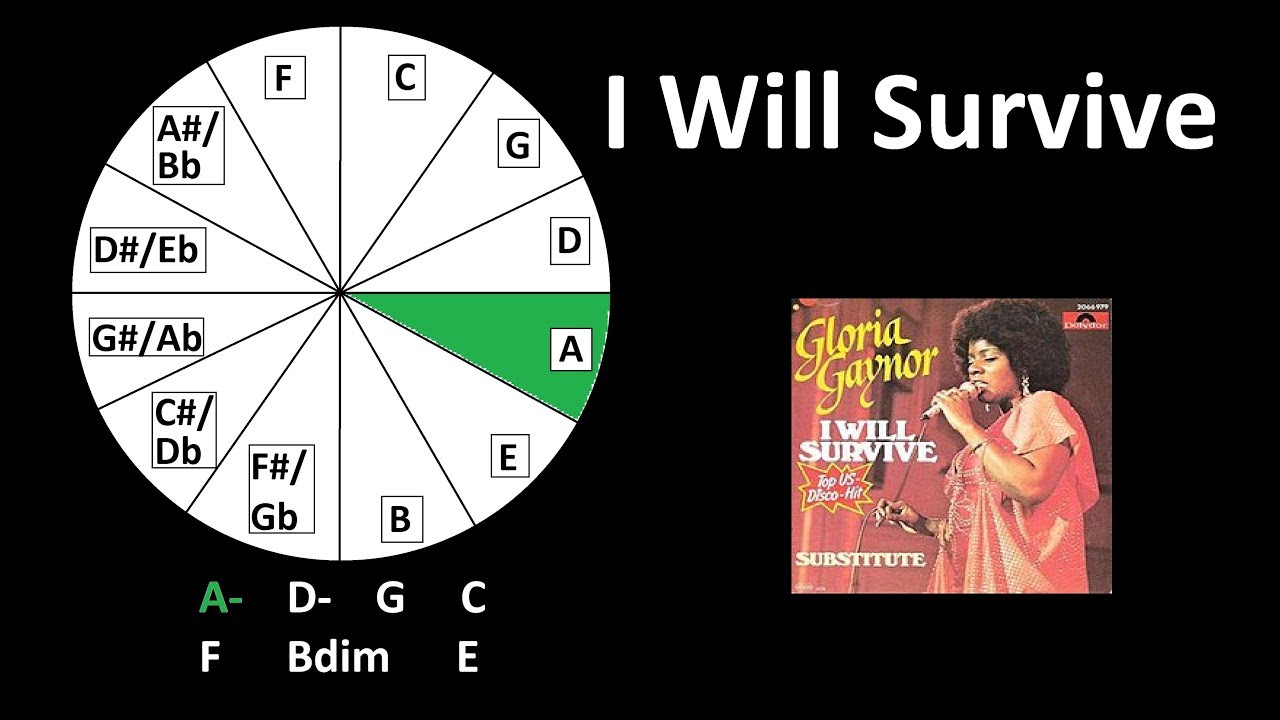 Circle of 5th in Songs You Know