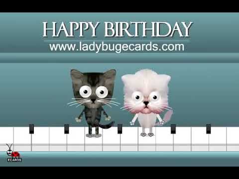 happy-birthday-dancing-cats-on-a-piano-ecard-.-С-Днем-Рождения-!!!