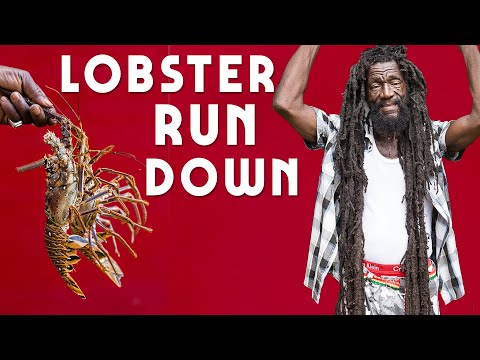 Lobster Rundown part 1...Jamaica Style! 