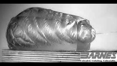 Hollow Point Bullet Through Gelatine