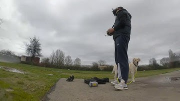 ImpulseRC Apex HD First Flight.