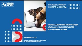 Правила содержания собак и кошек федеральное законодательство и требования в Москве