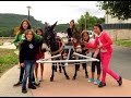 Excursiones en Carrito con Burros en Mendialdea