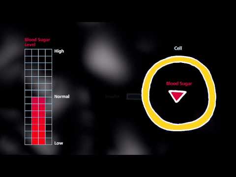 Video: Hva er GLP-erfaring?