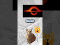 Las galaxias 🤓☝️ #gatos #naveespacial #astronomia #galaxias #ciencia