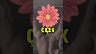 Kadın Parmağını Yerine Oturttu