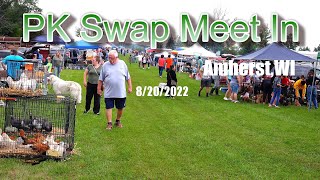 PK Swap Sale In Amherst,Wisconsin...Mes kas muag qaib August 20th 2022
