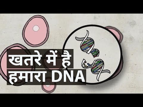 वीडियो: क्या धूल पीसना आपके लिए हानिकारक है?