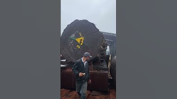 Cẩm hồng cực khủng vanh 700 dài 6m1 kính 2m sắp xuất hiện | Sơn Sập Gỗ