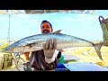 Amazing Seer Fish Slicing And Cutting Buy Sri Lankan Fish Cutter