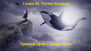 Тотем КОСАТКА. Глава 35. Энциклопедия &quot;Всё о Шаманизме&quot;. Прямой эфир + Медитация. Шаман С. Попроцкий