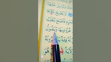 سورة الكهف الأية 42 إلى 44 القارئ سعد الغامدي