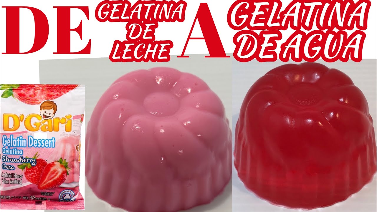 Prepara LA GELATINA DE LECHE con AGUA de Forma Fácil /QUE PASA CON LA GELATINA ! YouTube