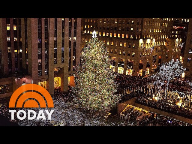 Meet Rockefeller Center's 2023 Christmas Tree