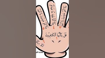 #سورة الكافرون #القرآن_الكريم #اكسبلور #المصحف