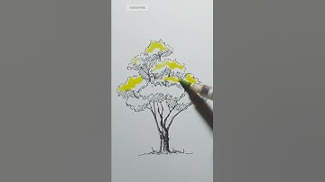 easy tree drawing easy #tree #drawing #artist #art #shorts #video #youtubeshorts