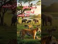 surah talaq ayaat3-2 urdu translation #trending #youtube