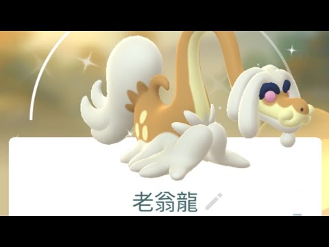 精靈寶可夢Go|不色不關台!!跨夜連播～色違老翁龍總來呀！！