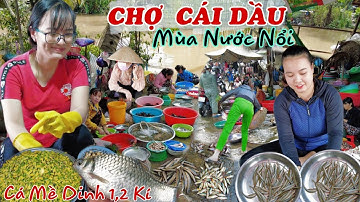 Nhiều Hót Gơ Dễ Thương Bán Cá Đồng  Mùa Nước Nổi Ở Chợ Cái Dầu Châu Phú An Giang/ Mùa Nước Nổi 2022
