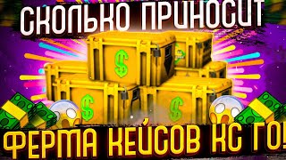 ДОХОДНОСТЬ И ОКУПАЕМОСТЬ ФЕРМЫ КЕЙСОВ КС ГО! Сколько приносит ферма cs go?