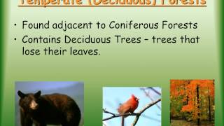 Terrestrial Biomes Video Notes