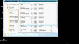 FarmingSimulator2011 (ls 2011) problem