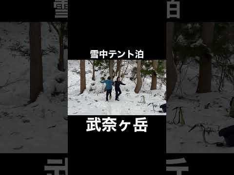 【武奈ヶ岳】OL2人で雪中テント泊in武奈ヶ岳 #shorts #登山 # #hiking