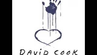 Porcelain- David Cook