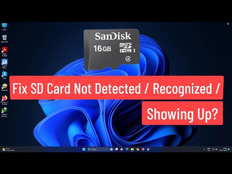 Fix SD Card Not Detected / Recognized / Showing Up? | Fix SD Card Reader Not Working on Windows 11