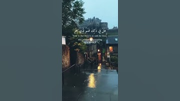 سوره الفجر 💐😍 حالات واتس