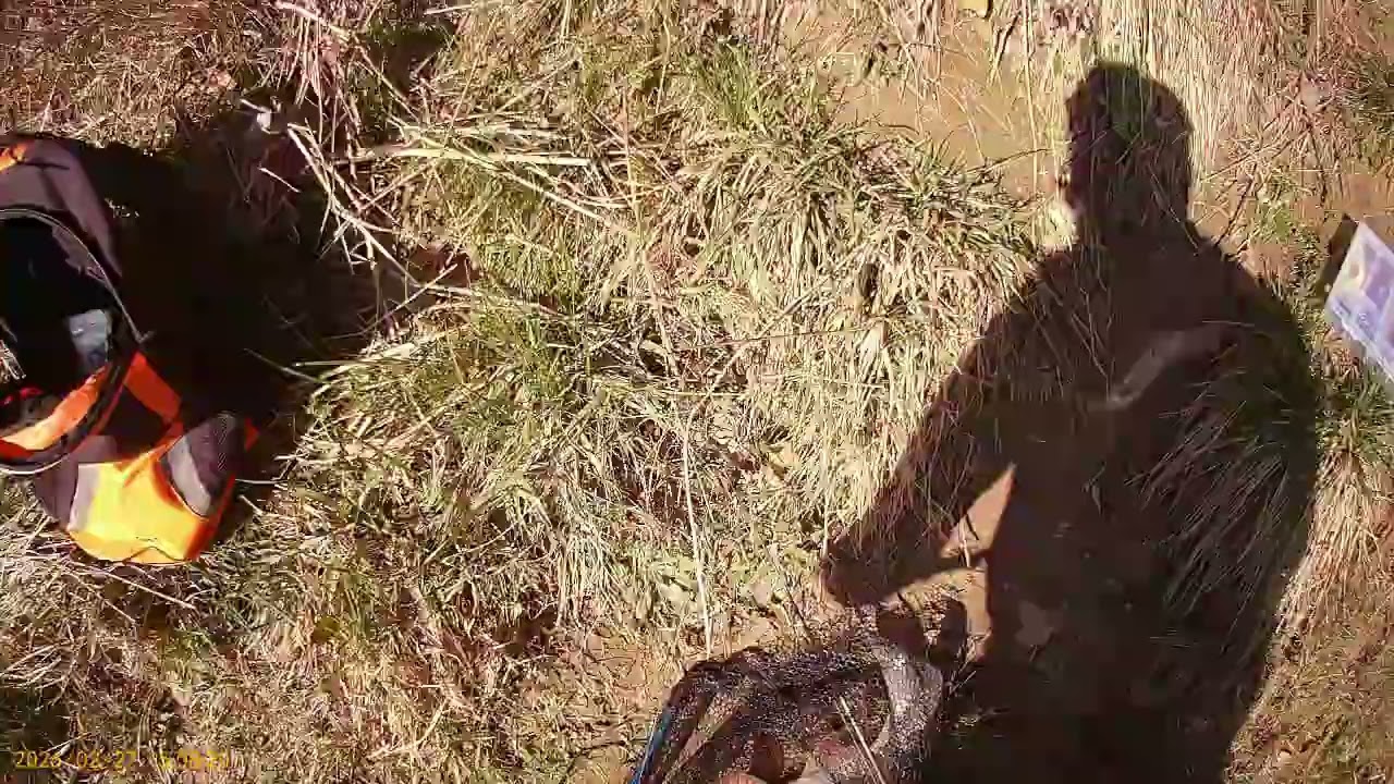 Špinanje Bolena   Sava Zagreb