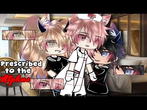 Prescribed to the Alphas?! bl/gay | GLMM / GCMM | Original Gacha Life Mini Movie