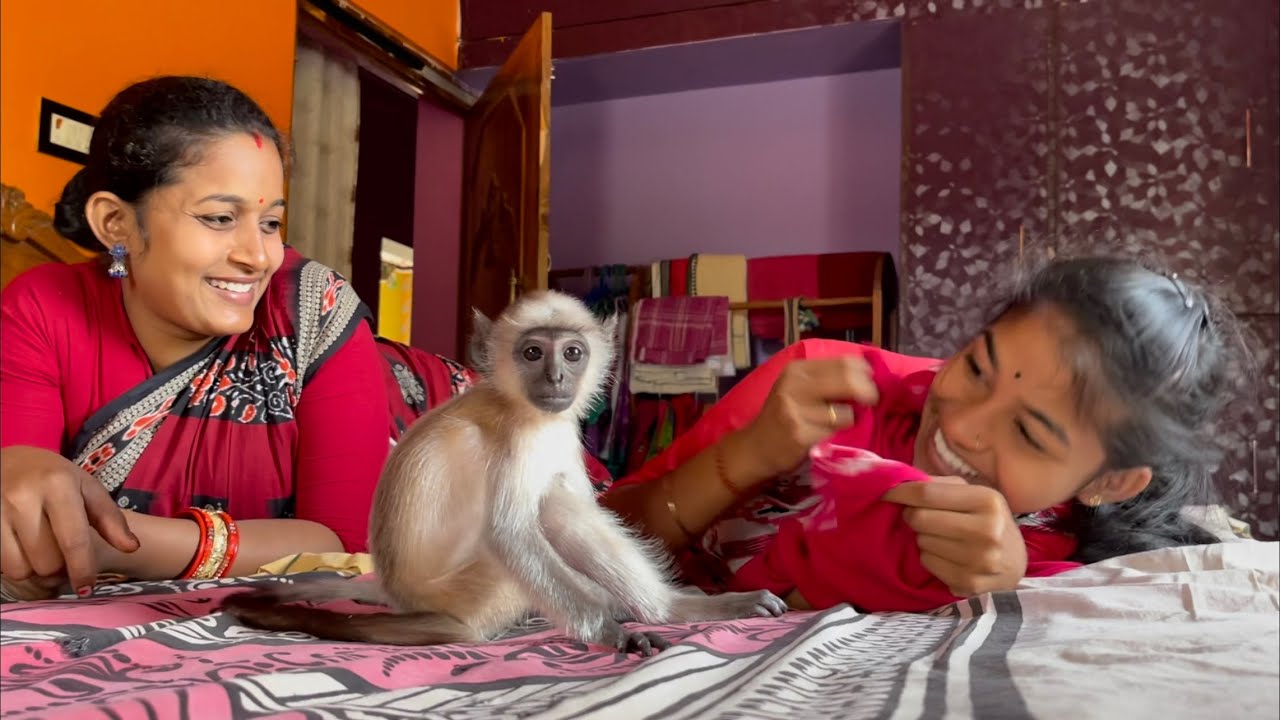 Sundri Chulbuli’s reaction very interesting