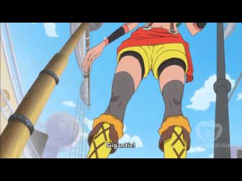 One Piece 575 strawhats vs lily