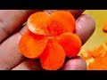 梅人参 作り方 Carrots cut way