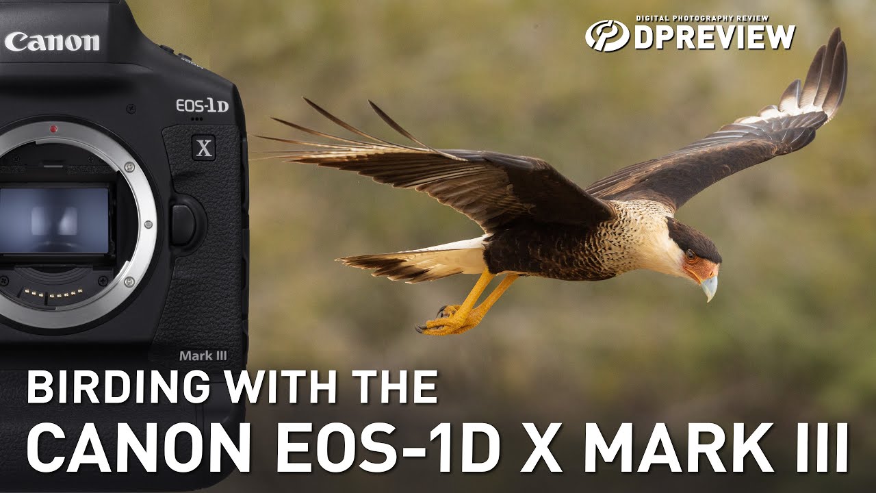 ⁣Birding with the Canon EOS-1D X Mark III