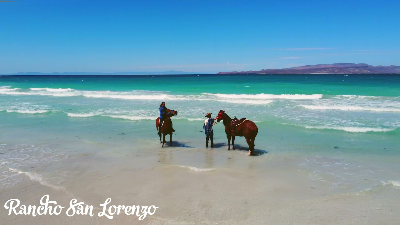 Horseback riding to the beach in La Paz