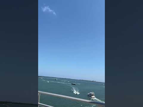 Rickenbacker Causeway Yachts,