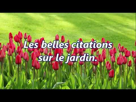 Belles Citations Sur Le Jardin Premiere Partie Youtube