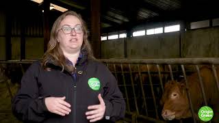 Farmer Feedback Report 2 - Enteric Fermentation