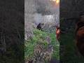 Ночная охота на кабана в лесу#Охота #ОхотаНаКабана #Кабан #ДикийКабан