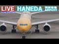 📡🔶[LIVE] '24/11/11 羽田空港 Tokyo International Airport HANEDA plane spotting