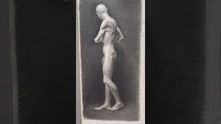#art #charcoaldrawing #shortvideo #shorts #study #artwork #reels #drawing #artist