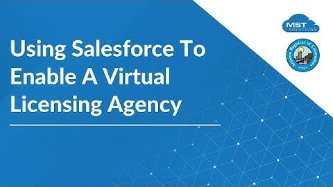 Salesforce for Licensing Agencies | MST Solutions