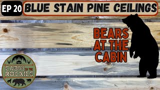 Blue Stain Pine Ceilings / Bears At The Cabin - Cabin In The Rockies EP 20
