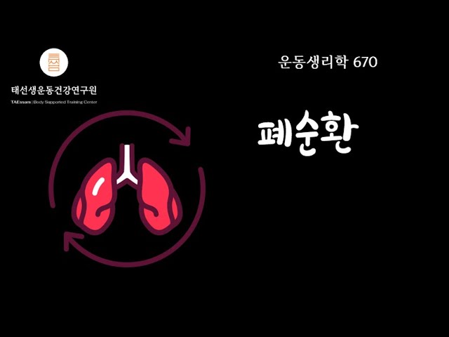 【670회 운동생리학기출】 산소 이산화탄소분압 체순환 폐순환