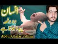 Man is born twice  human life  abdul ghafar pathan  urdu hindi punjabi 