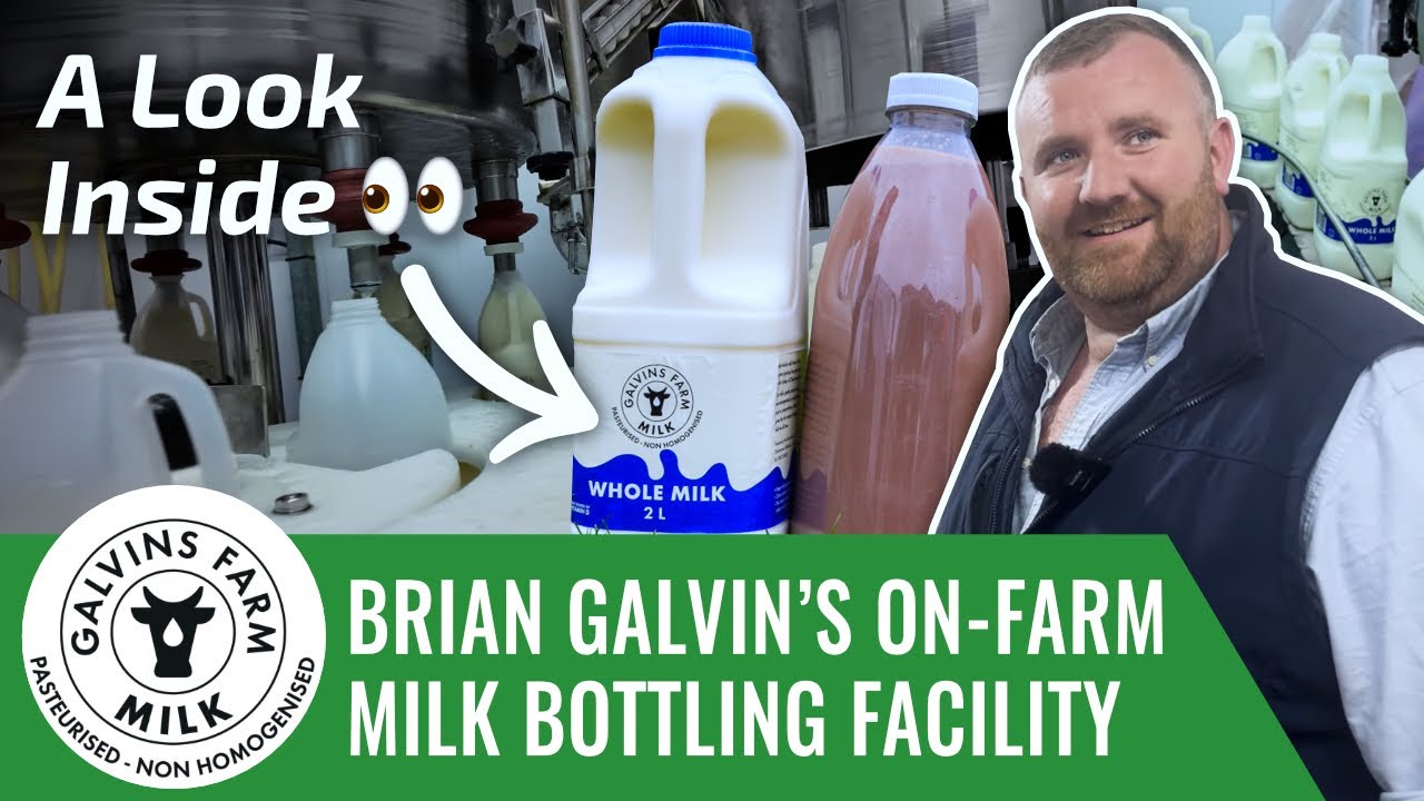 Взгляд на фермерский завод Брайана Гэлвина по розливу молока